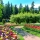 Calendar cu imagini Gardens, 31.5 x 48 cm, 12 file, 2026